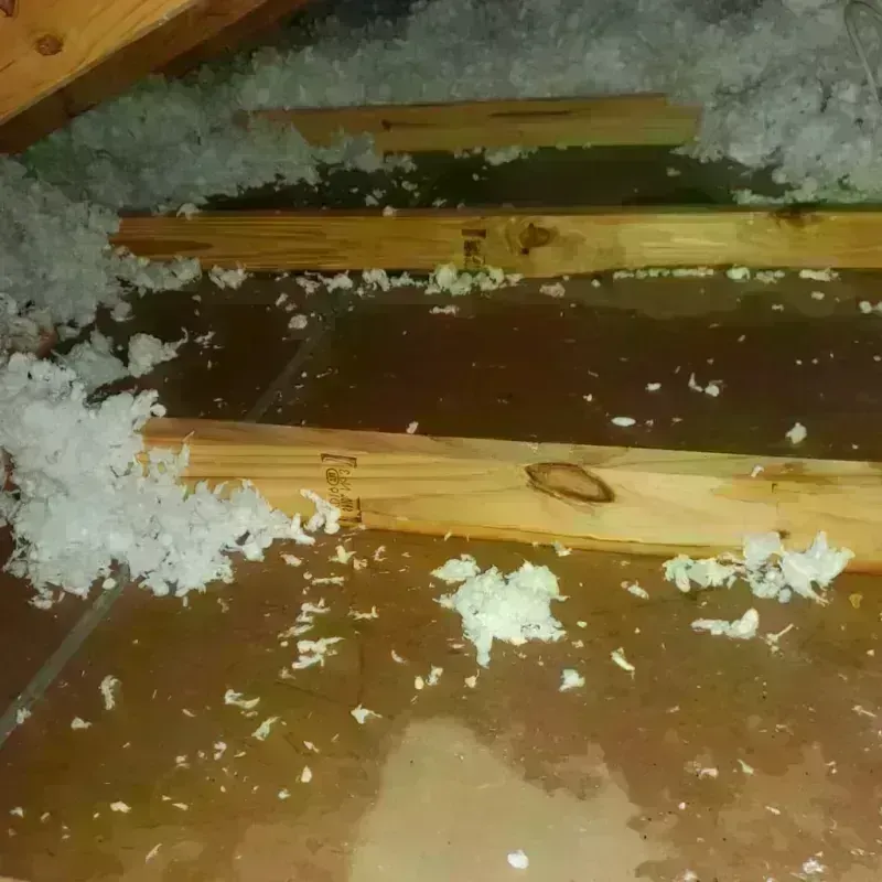 Attic Water Damage in Oneida, TN